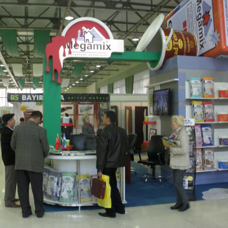 MEGAMIX on the 5th international exhibition of building and furniture of BuildExpo Uzbekistan 2010